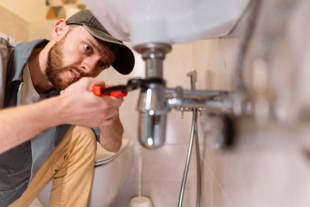 Best Drain Cleaning & Maintenance in Jasmine Estates, FL